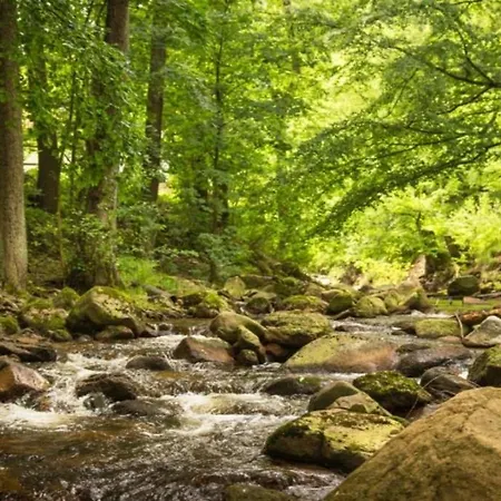 Dom wakacyjny Nexoe, 59 Qm, 2 Schlafzimmer N3 *