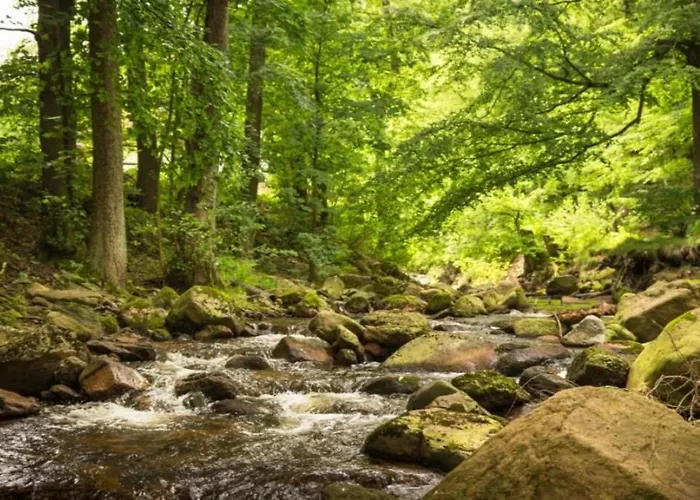 Сasa de vacaciones Nexoe, 59 Qm, 2 Schlafzimmer N3 *